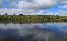 Fleckvieh Guest Farm
